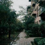 unsplash_359.jpg